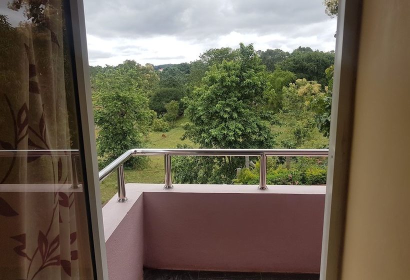 Hotel Dolphin Resort