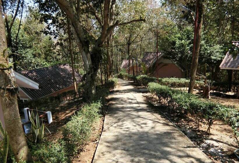 ホテル Kiangphu Resort