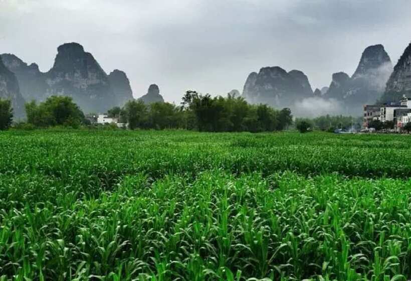 Hotel Mingshi Red Bean Restaurant Homestay