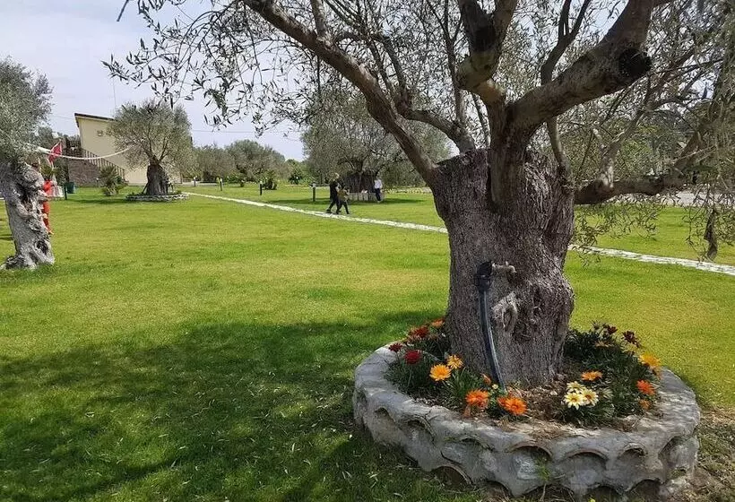 田舎風ホテル Agriturismo Donna Beatrice