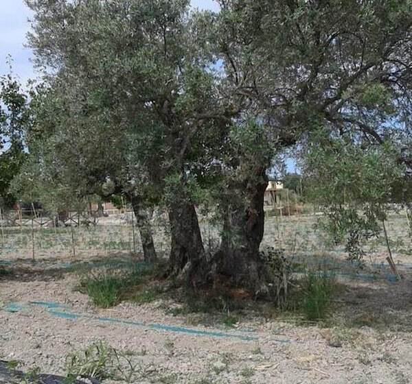 Hotel wiejski Agriturismo Donna Beatrice