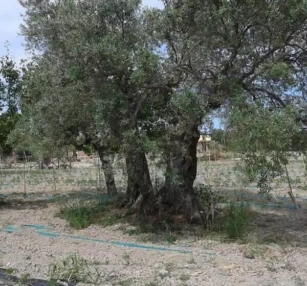 田舎風ホテル Agriturismo Donna Beatrice