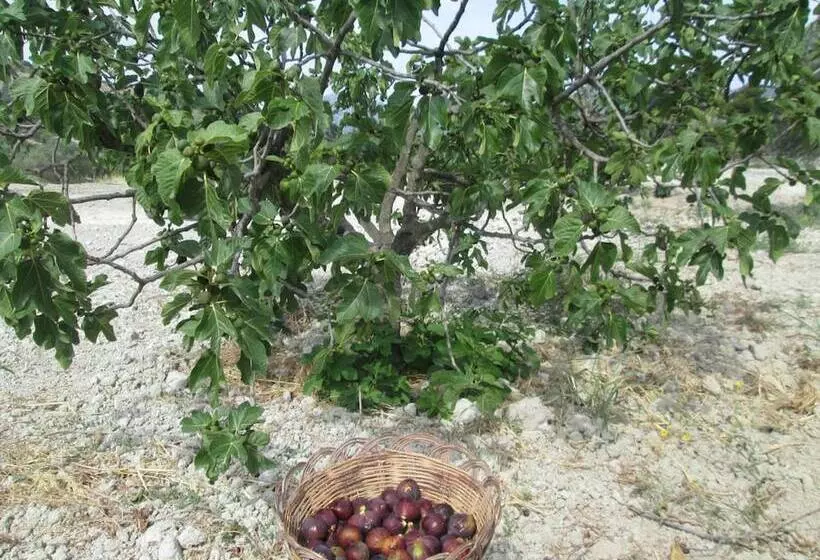 田舎風ホテル Agriturismo Donna Beatrice