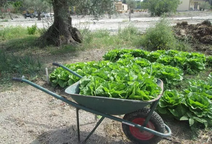 田舎風ホテル Agriturismo Donna Beatrice