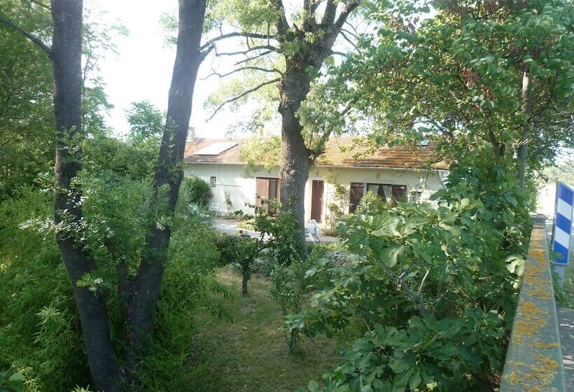 بنسيون Chambres D Hôtes Mas Rivière