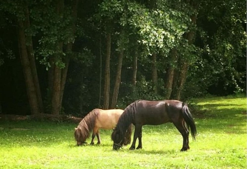 פנסיון Domaine Du Moulin Neuf