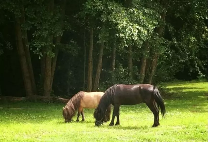 Majatalo Domaine Du Moulin Neuf