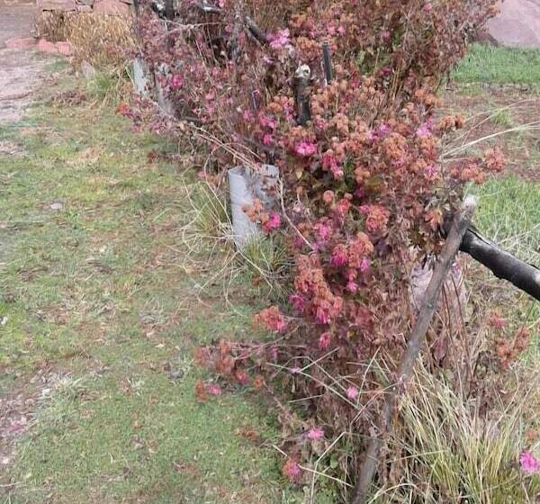 پانسیون Gite Ibbassen