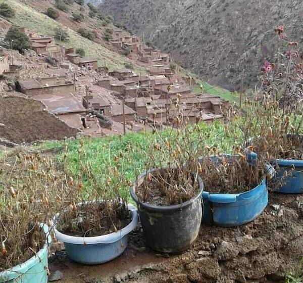 پانسیون Gite Ibbassen