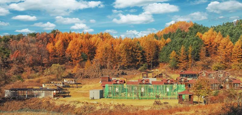 Pensione Nature And Healing