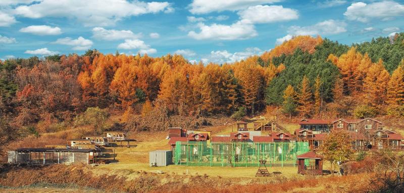 Pensione Nature And Healing