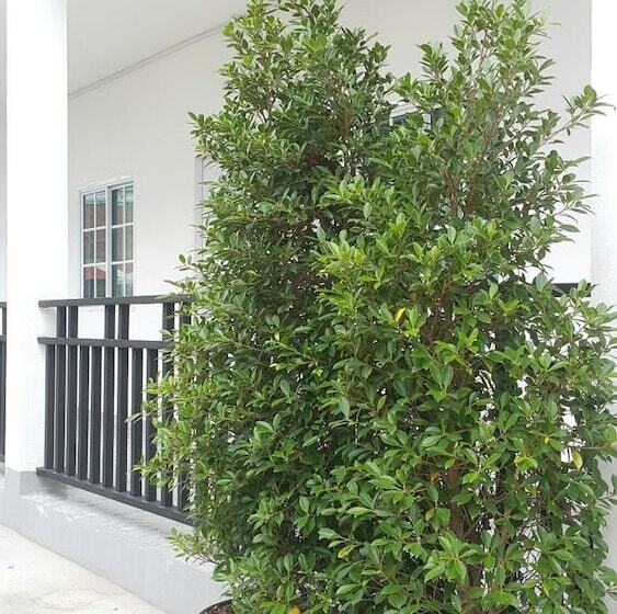 Pansiyon Patchy&ppraw Family