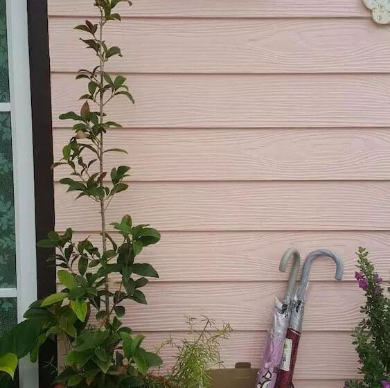 Majatalo Patchy&ppraw Family