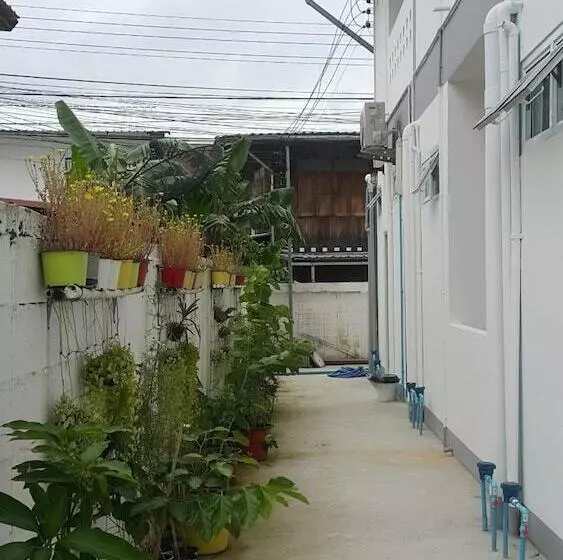 Majatalo Patchy&ppraw Family