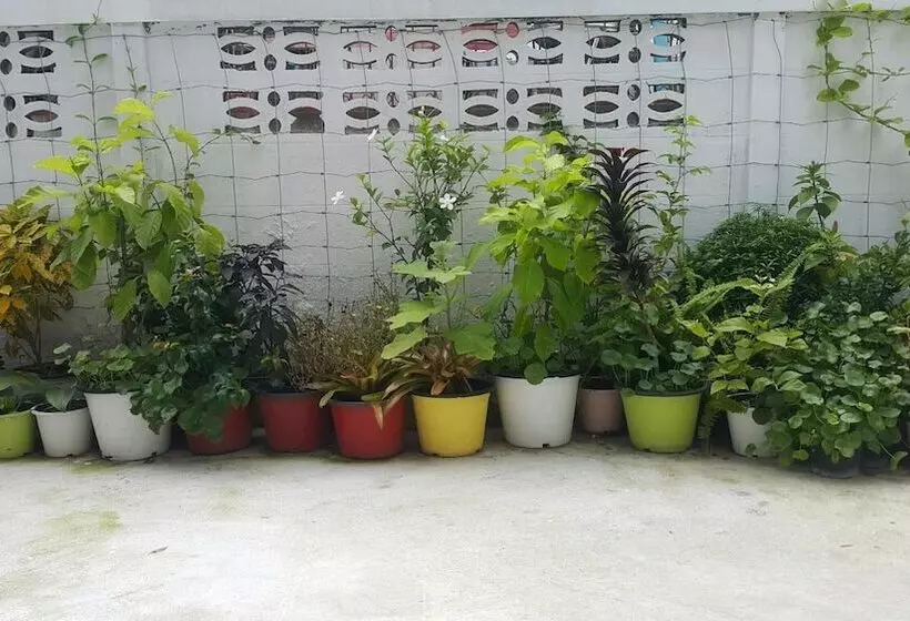 Majatalo Patchy&ppraw Family