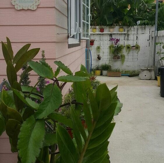 Pansiyon Patchy&ppraw Family