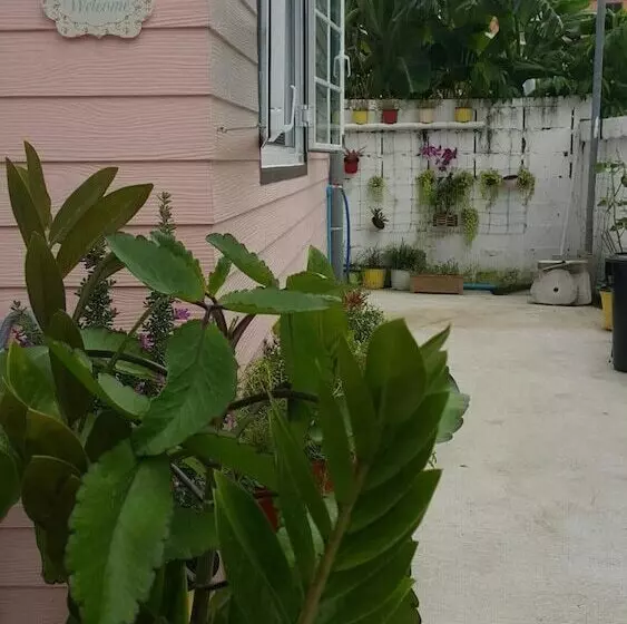 Majatalo Patchy&ppraw Family