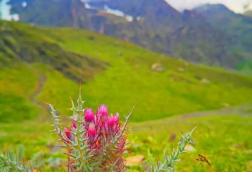 Residence Azureva La Mongie