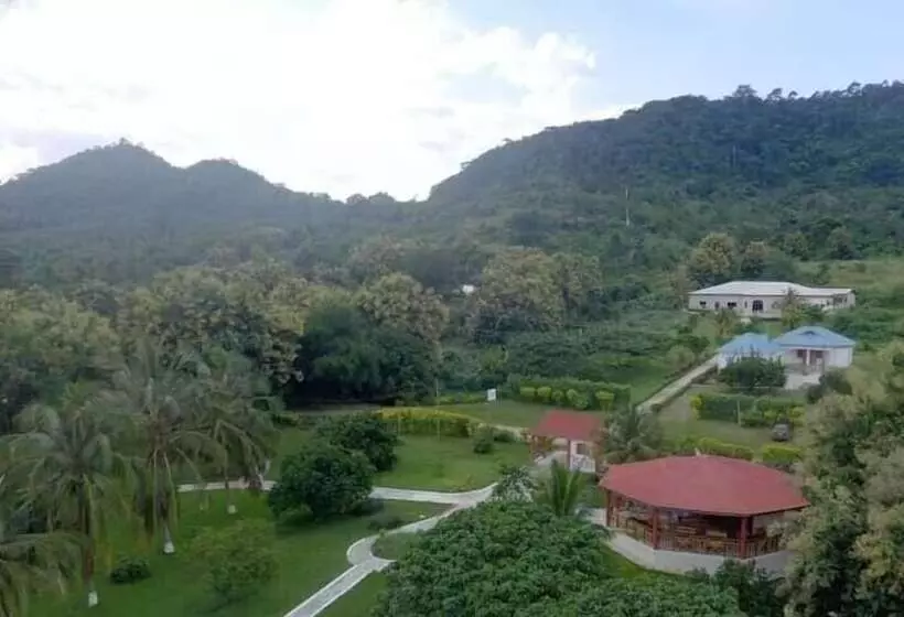 Wildwin Resort  Hostel