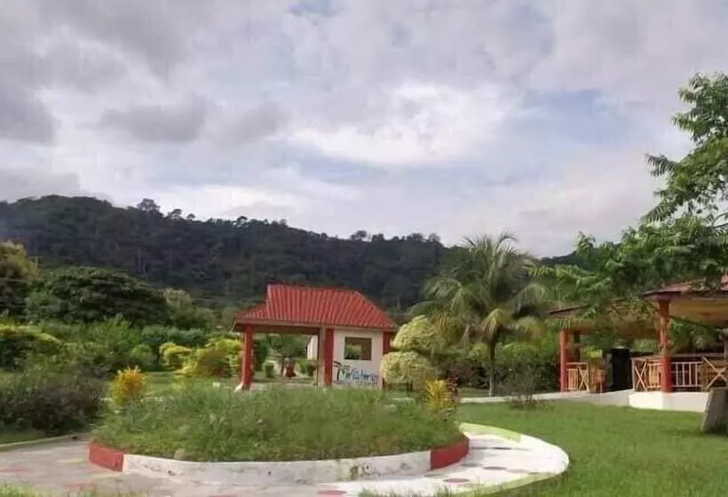 Wildwin Resort  Hostel