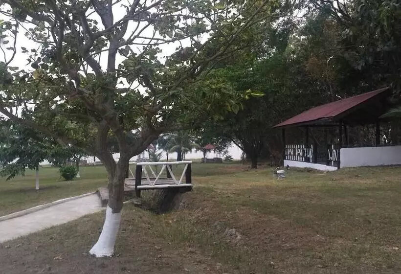 Wildwin Resort  Hostel