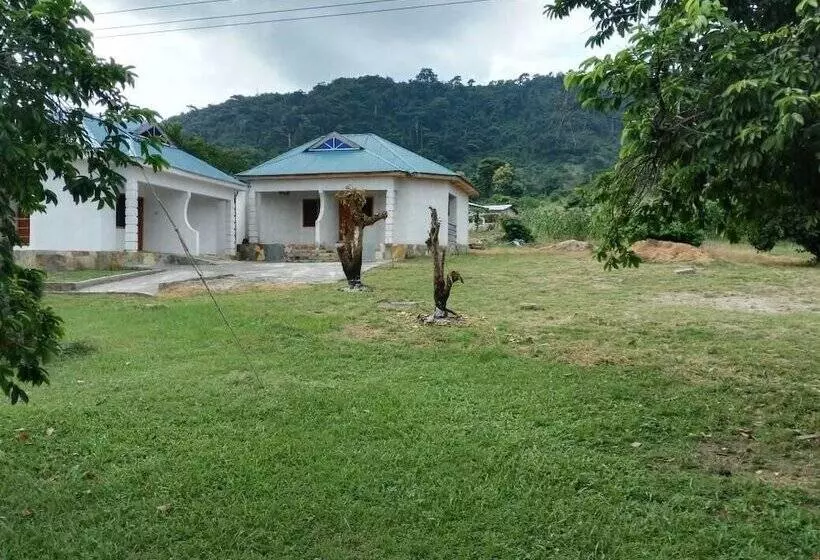 Wildwin Resort  Hostel