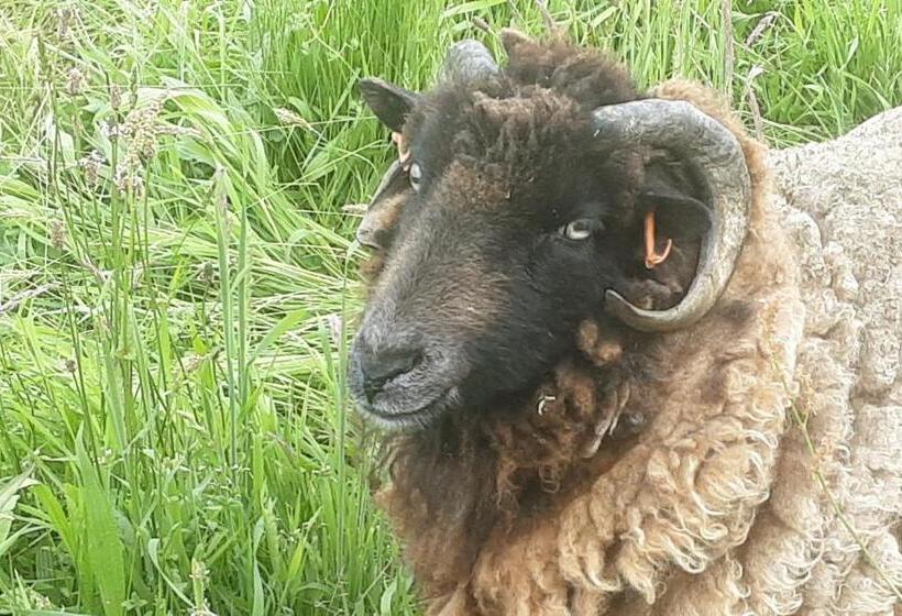 ベッドアンドブレックファースト La Petite Cretouffiere   Naturiste Accommodation   Adult Only