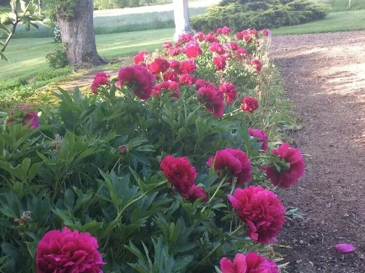 Aamiaismajoitus (B&B) Manoir De Curty