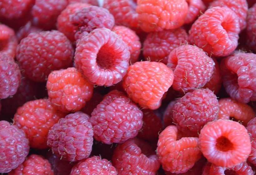 Nocleg ze śniadaniem Manoir De Curty