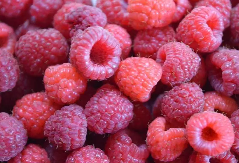 Aamiaismajoitus (B&B) Manoir De Curty