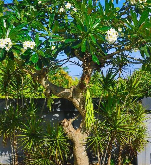 민박 Tegar Penida Paradise