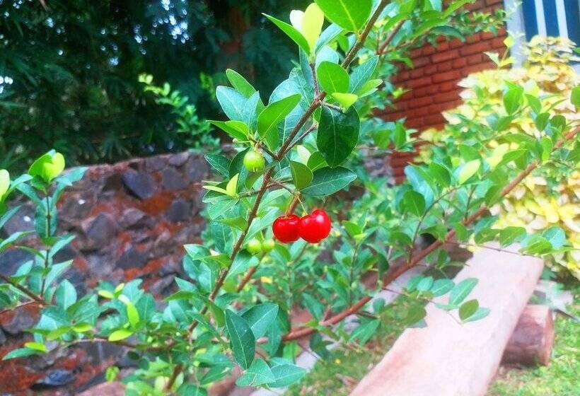 ホテル Honey Tree Polonnaruwa