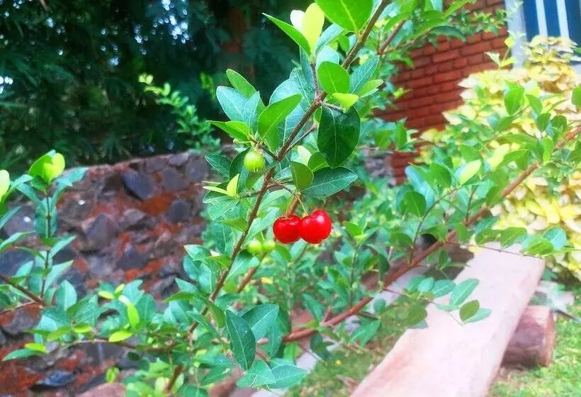 Hotelli Honey Tree Polonnaruwa