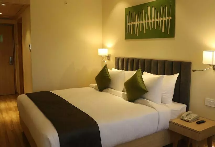 ホテル Regenta Central Harsha Vapi