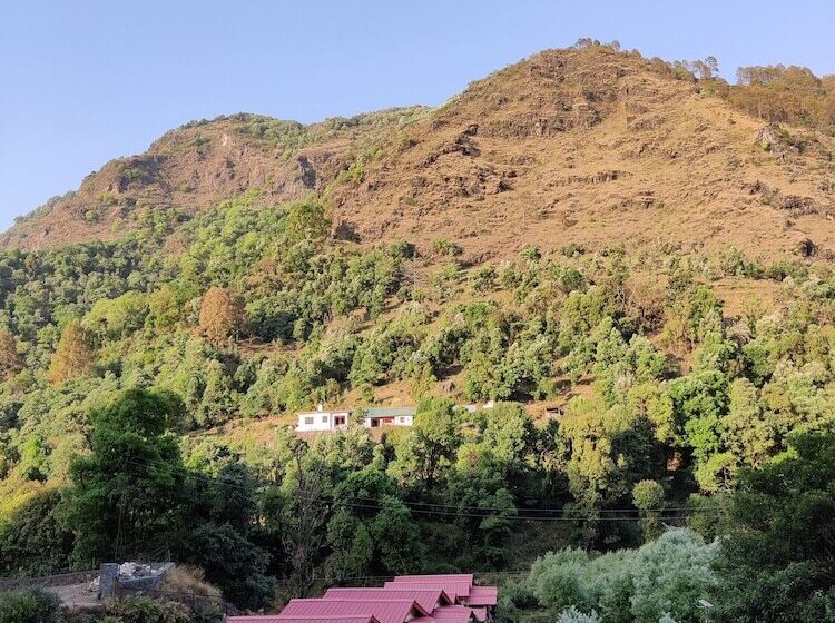 Отель The Jungle Pool By Beyond Stay