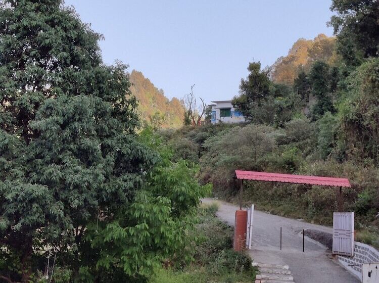 Отель The Jungle Pool By Beyond Stay