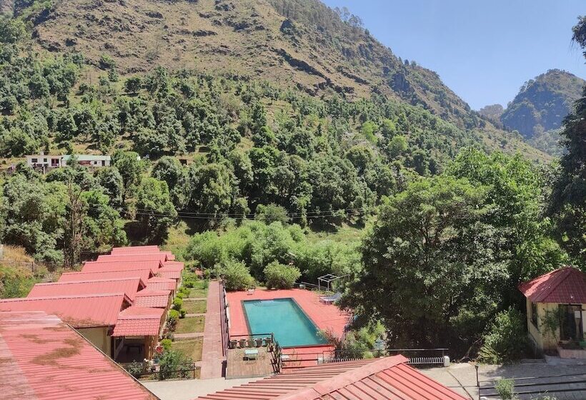 Отель The Jungle Pool By Beyond Stay