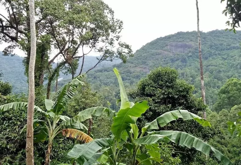 Majatalo Baan Keree Thara Khiri Wong