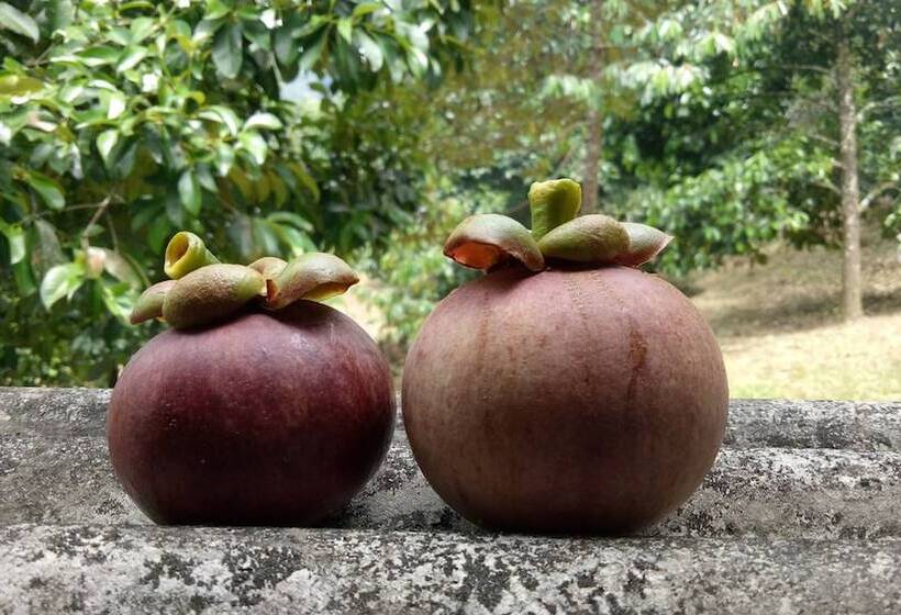 Pensão Baan Keree Thara Khiri Wong