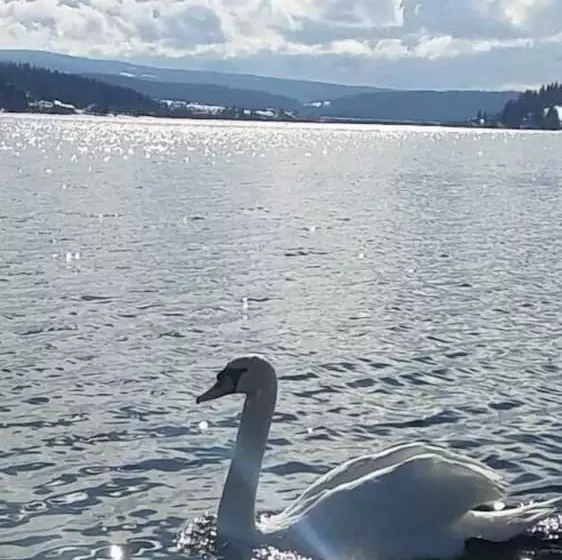 ペンション L Ecrin Du Lac