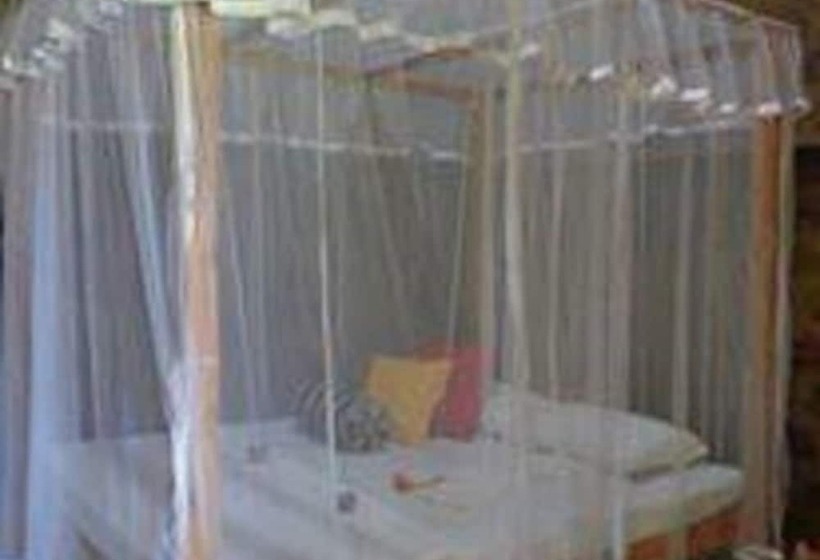 Pensiune Lotus Chalets Eco