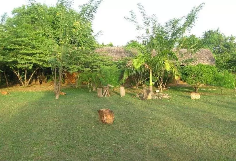 Majatalo Lotus Chalets Eco