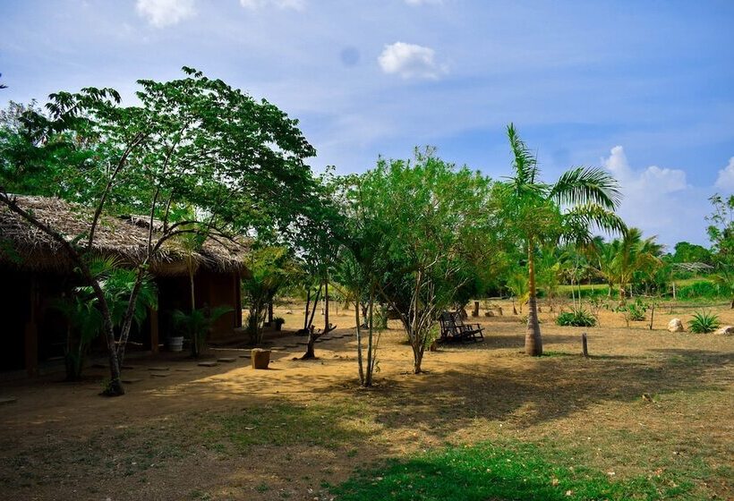 Pensiune Lotus Chalets Eco