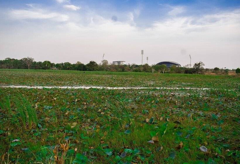 Pensiune Lotus Chalets Eco