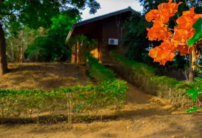 Majatalo Lotus Chalets Eco