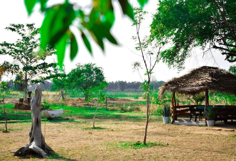 Pensiune Lotus Chalets Eco