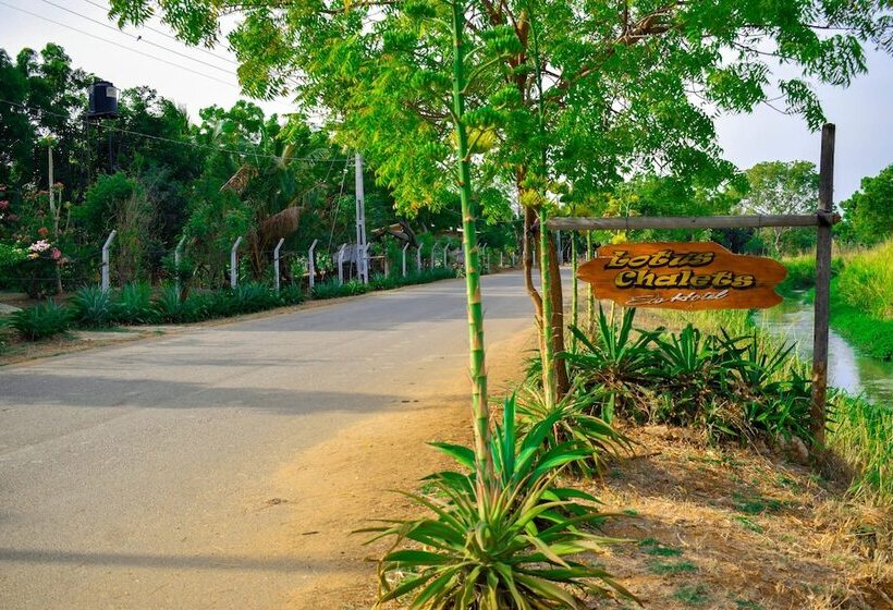 Pensiune Lotus Chalets Eco