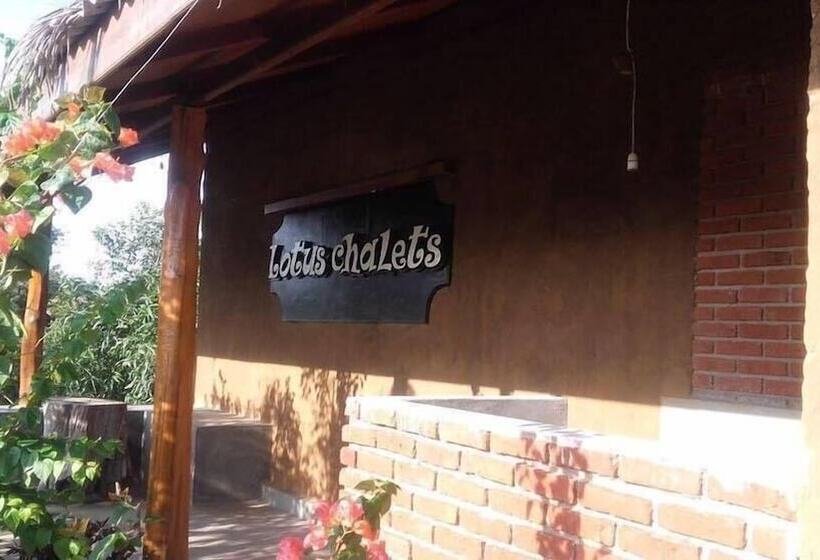 Pensiune Lotus Chalets Eco