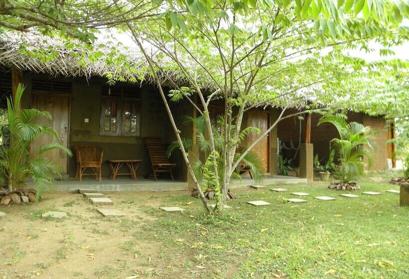 Pensiune Lotus Chalets Eco