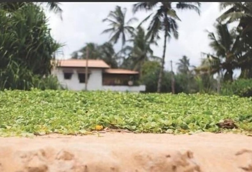 ペンション Whispering Ocean